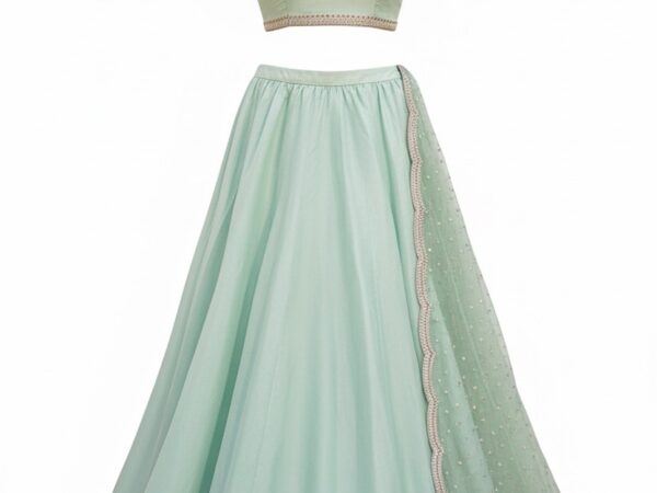 Mint muse Lehenga